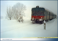 L'ALn 668.1076 avanza faticosamente nella neve poche ore prima della sospensione del servizio Besana Gennaio 1985