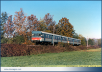  I caldi colori dell'autunno fanno da sfondo al treno locale 3808 da Lecco per Monza. Besana 03/11/1986 