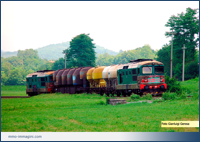 Doppia trazione simmetrica di D343 con merci minimo in corsa verso Lecco Maggianico. Besana 02/08/2002 