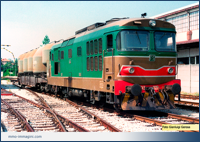 D 343.2020 staziona nello scalo merci in attesa del transito di 2 treni locali incrocianti nella stazione di Besana