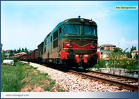 D 343.2005 poco dopo la stazione di Renate destinazione Besana. Aprile 1985