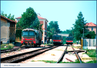 Incrocio tra 2 coppie di ALn 668 e la D343.2020 a Besana 