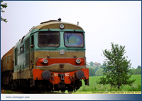 D345.1022 in linea tra Renate e Besana il 12/06/2002